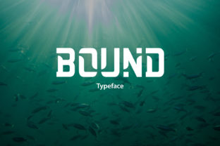 Bound: The Bold Display Font for Marketers
